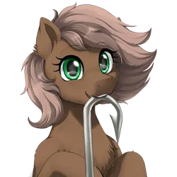 Size: 2000x2000 | Tagged: safe, artist:evomanaphy, banned from derpibooru, edit, editor:tiffortat, oc, oc:bait pony, unofficial characters only, earth pony, pony, female, hook, image, looking at you, mare, mouth hold, png, simple background, smiling, solo, transparent background