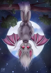 Size: 2508x3541 | Tagged: safe, artist:das_leben, derpibooru import, oc, oc:shikaka, unofficial characters only, bat pony, pony, vampire, vampire bat pony, albino, bat pony oc, bat wings, bow, braided tail, commission, hanging, hanging upside down, image, moon, png, solo, tail bow, tree branch, upside down, wings