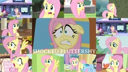 Size: 1280x721 | Tagged: safe, derpibooru import, edit, edited screencap, editor:quoterific, screencap, fluttershy, rainbow dash, bird, pegasus, pony, dragonshy, filli vanilli, flutter brutter, fluttershy leans in, games ponies play, green isn't your color, it ain't easy being breezies, just for sidekicks, magic duel, princess twilight sparkle (episode), season 1, season 2, season 3, season 4, season 6, season 7, stare master, the crystal empire, the return of harmony, :o, bag, diamond, duo, duo female, eyes closed, female, image, mare, open mouth, png, saddle bag, scared, shocked, shocked expression, train station, wide eyes