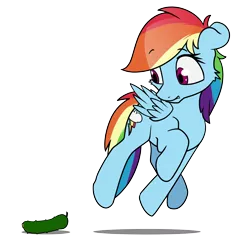 Size: 5000x4800 | Tagged: safe, artist:dacaoo, derpibooru import, rainbow dash, behaving like a cat, cucumber, food, image, png, simple background, solo, transparent background