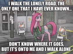 Size: 676x500 | Tagged: semi-grimdark, artist:necromarecy, derpibooru import, edit, pinkie pie, earth pony, pony, blood, boulevard of broken dreams, city, clothes, crossover, green day, image, imgflip, jacket, jpeg, meme, pinkamena diane pie, police tape, silent hill, silent hill 2, solo, text