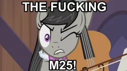 Size: 3840x2160 | Tagged: safe, derpibooru import, screencap, octavia melody, angry, arthur, bow (instrument), cello, image, meme, musical instrument, png, swearing, vine, vulgar, wince