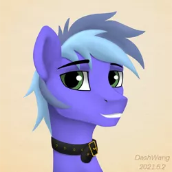 Size: 1600x1600 | Tagged: safe, artist:dash wang, derpibooru import, oc, oc:memory mark, earth pony, pony, collar, image, male, png