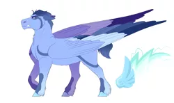 Size: 2700x1600 | Tagged: safe, artist:uunicornicc, derpibooru import, oc, pegasus, pony, colored wings, image, male, multicolored wings, png, simple background, solo, stallion, white background, wings