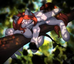 Size: 2048x1760 | Tagged: safe, artist:amishy, derpibooru import, oc, oc:weathervane, unofficial characters only, pegasus, pony, image, jpeg, pegasus oc, sleeping, solo, tree, wings