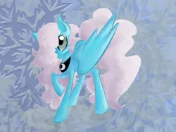 Size: 2592x1936 | Tagged: safe, artist:supah-panda, derpibooru import, oc, oc:snowshoe, unofficial characters only, pegasus, pony, abstract background, female, image, jpeg, large wings, mare, peytral, solo, wings