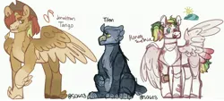 Size: 5024x2267 | Tagged: safe, artist:sallyqwest623, derpibooru import, oc, oc:honey suckle, oc:jonathan tango, oc:titan, unofficial characters only, hybrid, pegasus, pony, adopted offspring, alternate design, bandaid, cowboy hat, feathered fetlocks, female, freckles, furry, hat, high res, image, jpeg, male, mare, offspring, one wing out, parent:big macintosh, parent:fluttershy, parents:fluttermac, siblings, simple background, stallion, straw in mouth, twitterina design, white background, wings