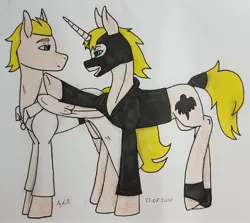 Size: 2861x2554 | Tagged: safe, artist:agdapl, derpibooru import, ponified, pegasus, pony, unicorn, clothes, crossover, duo, horn, image, jpeg, looking back, male, mask, medic, signature, species swap, spy, team fortress 2, traditional art, wings