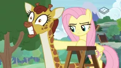 Size: 1280x720 | Tagged: safe, derpibooru import, screencap, clementine, fluttershy, giraffe, she talks to angel, image, ouch, png