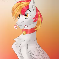 Size: 583x583 | Tagged: artist needed, safe, derpibooru import, oc, oc:shining sky, pegasus, pony, image, png