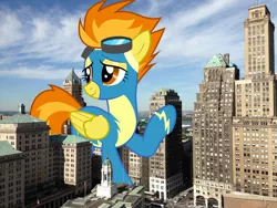 Size: 2400x1800 | Tagged: safe, artist:dashiesparkle, derpibooru import, spitfire, pegasus, pony, brooklyn, clothes, female, giant pony, giantess, highrise ponies, image, irl, macro, mare, new york, photo, png, ponies in real life, story included, uniform, wonderbolts uniform