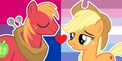 Size: 1000x500 | Tagged: safe, artist:prideponies, derpibooru import, applejack, big macintosh, earth pony, pony, applecest, applemac, bigender, bisexual, female, headcanon, image, incest, male, mare, png, shipping, shipping domino, stallion, straight