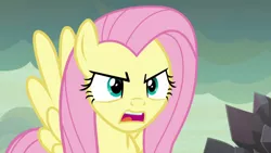 Size: 1920x1080 | Tagged: safe, derpibooru import, screencap, fluttershy, pegasus, pony, season 9, sweet and smoky, spoiler:s09, angry, female, image, mare, open mouth, png