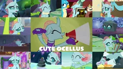 Size: 1280x721 | Tagged: safe, artist:quoterific, derpibooru import, edit, edited screencap, editor:quoterific, screencap, gallus, ocellus, thorax, yona, changedling, changeling, season 8, season 9, spoiler:s08, spoiler:s09, book, cute, friendship student, image, king thorax, pillow, png