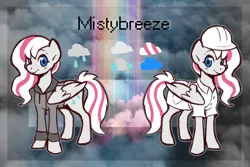 Size: 3000x2000 | Tagged: safe, artist:doukz, derpibooru import, oc, oc:misty breeze, pegasus, pony, clothes, female, hoodie, image, pegasus oc, png, reference sheet, weather factory uniform, wings