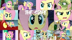 Size: 1280x721 | Tagged: safe, derpibooru import, edit, edited screencap, editor:quoterific, screencap, basil, discord, fluttershy, bee, draconequus, dragon, flash bee, insect, pegasus, pony, a health of information, bats!, best gift ever, dragonshy, dungeons and discords, flutter brutter, keep calm and flutter on, make new friends but keep discord, princess twilight sparkle (episode), putting your hoof down, season 1, season 2, season 3, season 5, stare master, sweet and smoky, the cutie re-mark, alternate timeline, badass, chrysalis resistance timeline, clothes, collage, dress, eyebrows, flutterbadass, gala dress, image, png, stare, the stare, tribalshy