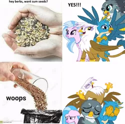 Size: 500x496 | Tagged: safe, derpibooru import, gabby, gallus, gilda, silverstream, gryphon, hippogriff, angry, birb, birds doing bird things, bird seed, floppy ears, image, jpeg, pure unfiltered evil, rage, sad, seeds, trash can