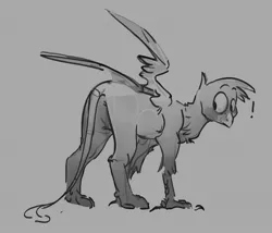 Size: 1279x1096 | Tagged: safe, artist:alumx, derpibooru import, gallus, gryphon, butt, exclamation point, gallass, grayscale, image, jpeg, looking back, male, monochrome, solo