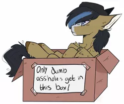 Size: 1473x1229 | Tagged: safe, artist:heartsketch1, derpibooru import, oc, oc:gear (gearslavehorse), pegasus, blaze (coat marking), box, cardboard box, chest fluff, flatcap, image, jpeg, male, pegasus oc, simple background, solo, unamused, white background, wings