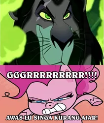 Size: 1717x2039 | Tagged: safe, derpibooru import, pinkie pie, big cat, lion, my little pony: pony life, pie vs. pie, spoiler:pony life s01e23, angry, angry pinkie pie, beating, exploitable meme, grrrr, image, indonesia, jpeg, meme, pinkie pie is not amused, pinkie rage, rage, scar (the lion king), unamused