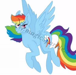 Size: 1018x1002 | Tagged: safe, alternate version, artist:t.w.magicsparkel.9, derpibooru import, rainbow dash, pegasus, pony, eyelashes, female, flying, image, jpeg, mare, simple background, smiling, smirk, solo, watermark, white background, wings