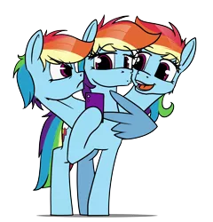 Size: 4600x4800 | Tagged: safe, artist:dacaoo, derpibooru import, rainbow dash, cerberus, image, multiple heads, png, three heads