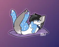 Size: 2500x2000 | Tagged: safe, artist:lionbun1, derpibooru import, cat, cat pony, original species, clothes, collar, commission, cute, image, lying down, on back, patreon, patreon reward, png, socks