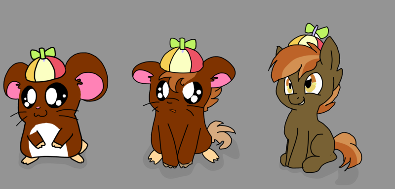 Size: 1343x645 | Tagged: safe, artist:edwardhamham, derpibooru import, button mash, oc, oc:edward, earth pony, hamster, pony, character to character, hamtaro, hat, image, non-mlp oc, png, propeller hat, transformation, transformation sequence