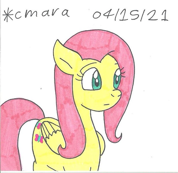 Size: 854x833 | Tagged: safe, artist:cmara, derpibooru import, fluttershy, pegasus, pony, female, image, jpeg, mare, simple background, solo, traditional art, white background