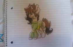 Size: 1024x662 | Tagged: safe, artist:gravityfox10, derpibooru import, oc, unofficial characters only, pony, unicorn, chara, clothes, female, grin, horn, image, jpeg, lined paper, mare, paw prints, smiling, undertale, unicorn oc