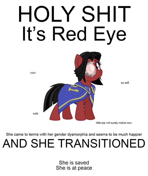 Size: 1170x1392 | Tagged: safe, derpibooru import, oc, oc:red eye, earth pony, pony, fallout equestria, cape, cloak, clothes, cybernetic eyes, fallout, female, image, mare, png, prosthetic eye, prosthetics, simple background, solo, solo female, text, transgender, vector, vulgar, white background