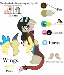 Size: 1078x1263 | Tagged: safe, artist:cocolove2176, derpibooru import, discord, fluttershy, oc, draconequus, hybrid, pegasus, pony, abstract background, blushing, draconequus oc, female, image, interspecies offspring, jpeg, male, mare, offspring, parent:discord, parent:fluttershy, parents:discoshy, reference sheet