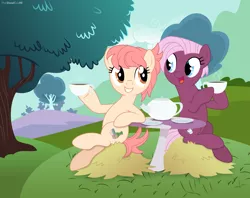 Size: 9609x7611 | Tagged: safe, artist:thatusualguy06, derpibooru import, jasmine leaf, raspberry vinaigrette, earth pony, pony, absurd resolution, base used, cup, duo, female, food, hay, image, looking at each other, mare, missing accessory, mushroom table, open mouth, png, tea, teacup, teapot, tree, vector