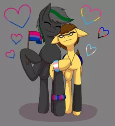 Size: 1080x1179 | Tagged: safe, artist:shycookieq, derpibooru import, oc, unofficial characters only, earth pony, pegasus, pony, bisexual pride flag, earth pony oc, eyes closed, gay, glasses, gray background, hoof hold, image, male, oc x oc, pegasus oc, png, pride, pride flag, shipping, simple background, smiling, transgender, transgender pride flag, two toned wings, wings