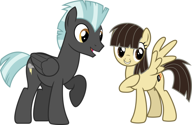 Size: 10702x7000 | Tagged: safe, artist:chainchomp2, derpibooru import, thunderlane, wild fire, pegasus, pony, absurd resolution, duo, female, image, male, mare, png, raised hoof, simple background, stallion, transparent background, vector