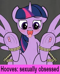 Size: 538x664 | Tagged: suggestive, derpibooru import, twilight sparkle, twilight sparkle (alicorn), alicorn, pony, egg vibrator, fetish, hoof fetish, image, png, secret horse files, sex toy, solo, tongue out, underhoof, vibrator