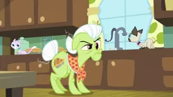 Size: 1920x1080 | Tagged: safe, derpibooru import, screencap, granny smith, cat, earth pony, pony, going to seed, season 9, spoiler:s09, female, goldie delicious' cats, image, mare, png, raised eyebrow