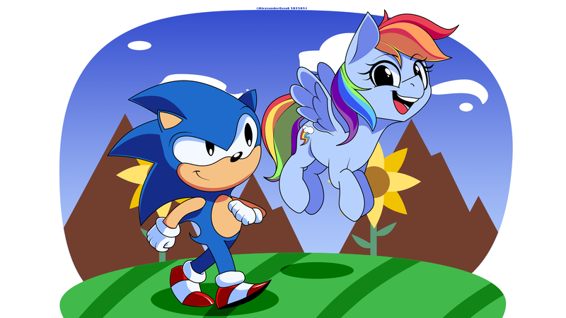 Size: 3200x1800 | Tagged: safe, artist:alexsc112, derpibooru import, rainbow dash, hedgehog, pegasus, pony, crossover, duo, eyebrows, eyebrows visible through hair, female, high res, image, looking at each other, male, mare, open mouth, open smile, png, smiling, smiling at each other, sonic the hedgehog, sonic the hedgehog (series)