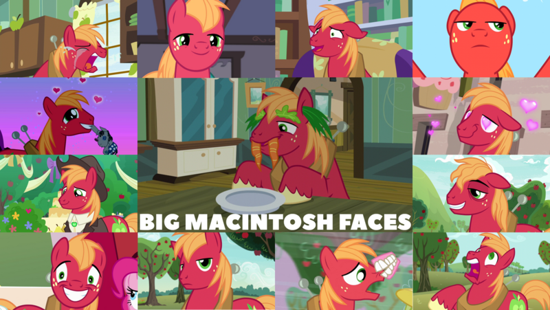 Size: 1280x721 | Tagged: safe, derpibooru import, edit, edited screencap, editor:quoterific, screencap, big macintosh, pinkie pie, smarty pants, earth pony, pony, apple family reunion, brotherhooves social, filli vanilli, lesson zero, no second prances, season 2, season 3, season 4, season 5, season 6, season 8, season 9, the big mac question, the break up breakdown, the super speedy cider squeezy 6000, spoiler:s03, spoiler:s05, spoiler:s06, spoiler:s08, spoiler:s09, big macintosh is not amused, carrot, crying, cute, duo, eyes closed, female, floppy ears, food, grass, hat, heart eyes, image, lettuce, macabetes, male, mouth hold, night, offscreen character, open mouth, png, sad, screaming, solo, sweet apple acres, teeth, unamused, wavy mouth, wingding eyes, yelling