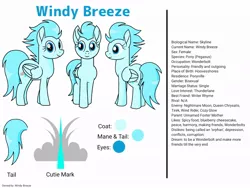 Size: 1024x768 | Tagged: safe, artist:windy breeze, derpibooru import, oc, oc:windy breeze, pegasus, pony, butt, cutie mark, image, jpeg, looking at you, plot, reference sheet, simple background, solo, tail