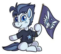 Size: 789x701 | Tagged: safe, artist:transformartive, edit, editor:anonymous, editor:edits of hate, oc, oc:silver span, pegasus, pony, clothes, colt, flag, image, looking at you, male, pegasus flag, png, shirt, simple background, sitting, smiling, solo, stars, white background