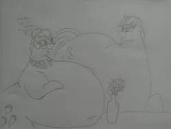 Size: 2592x1944 | Tagged: suggestive, artist:princebluemoon3, derpibooru import, cloudy quartz, twilight velvet, earth pony, pony, unicorn, series:mane moms large diet, belly, belly button, big belly, bingo wings, butt, dialogue, duo, duo female, fat, female, flower, horrible, huge belly, image, jpeg, large butt, mom, obese, open mouth, open smile, sketch, smiling, twilard velvet, vase, weight gain