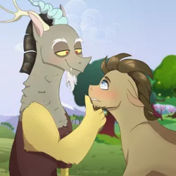 Size: 1280x1280 | Tagged: safe, artist:primrosepaper, derpibooru import, discord, doctor whooves, time turner, draconequus, earth pony, pony, beard, blushing, cloud, crack shipping, facial hair, gay, grass, image, jpeg, looking at each other, male, shipping, sky, stallion, tree