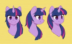 Size: 2728x1684 | Tagged: safe, artist:orchidpony, derpibooru import, twilight sparkle, unicorn, bust, different angles, image, jpeg, portrait, practice, simple background, smiling, solo