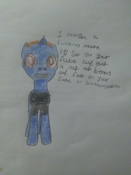 Size: 2448x3264 | Tagged: suggestive, artist:iloveponies, derpibooru import, oc, unofficial characters only, unicorn, angry, bulletproof vest, dialogue, horn, image, jpeg, photo, police pony, solo, swat, talking to viewer, unicorn oc