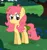 Size: 676x725 | Tagged: safe, artist:amandafriendship53, derpibooru import, peachy, earth pony, pony, bow, canterlot gardens, female, g1 to g4, g4, garden, generation leap, image, looking at you, mare, png, shadow, solo, tail bow