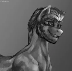 Size: 1577x1544 | Tagged: safe, artist:colochenni, derpibooru import, hitch trailblazer, pony, drawthread, g5, gigachad, gray background, grayscale, image, male, monochrome, png, simple background, solo, stallion