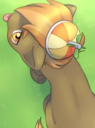 Size: 2928x3943 | Tagged: safe, artist:aquoquoo, derpibooru import, button mash, earth pony, pony, ;p, buttonbetes, colt, cute, image, looking up, male, one eye closed, png, solo, tongue out