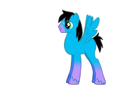 Size: 900x650 | Tagged: safe, derpibooru import, oc, oc:brandon, unofficial characters only, pegasus, black mane, black tail, blue fur, image, png