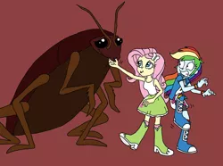 Size: 2042x1519 | Tagged: safe, artist:bugssonicx, derpibooru import, fluttershy, rainbow dash, cockroach, insect, equestria girls, image, png